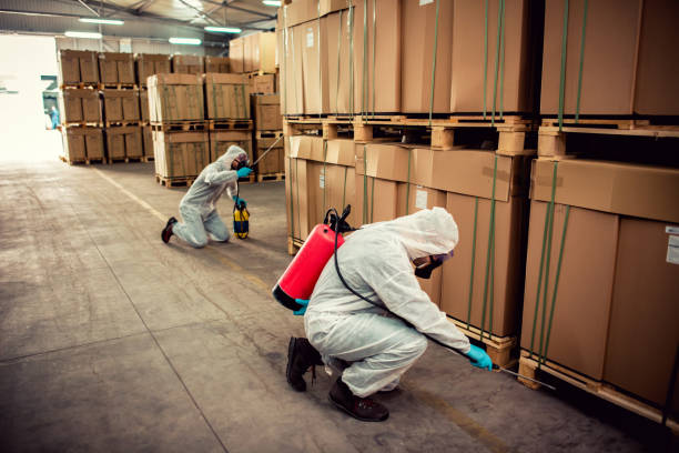 Best Pest Inspection Near Me  in Sylvan Lake, MI