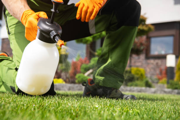 Flea Control Services in Sylvan Lake, MI