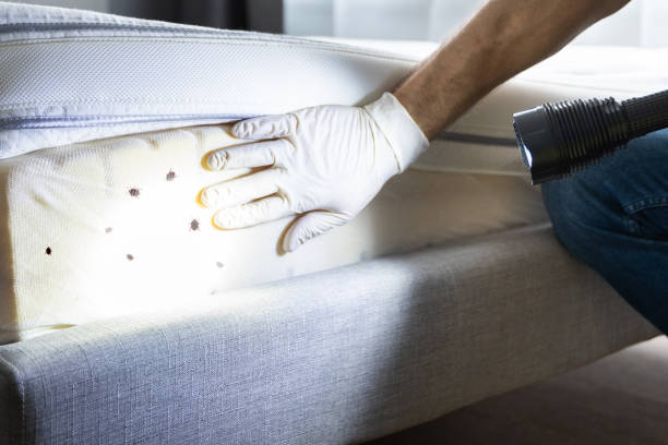 Best Best Pest Control Companies  in Sylvan Lake, MI