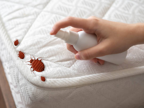 Best Cockroach Control Services  in Sylvan Lake, MI