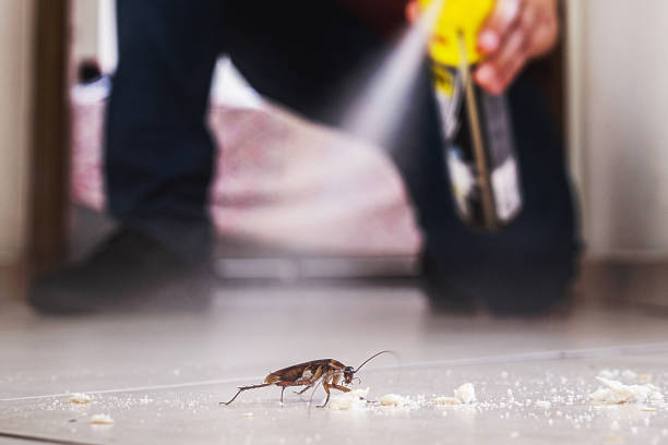 Best Pest Removal Services  in Sylvan Lake, MI