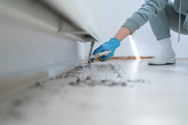 Best Emergency Pest Control  in Sylvan Lake, MI